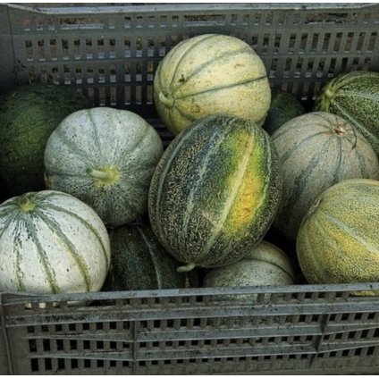 33485 screenshot 2024 02 26 at 19 45 57