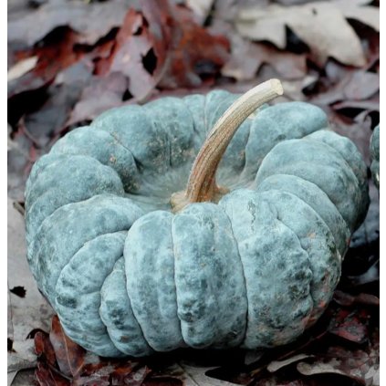 33518 1 screenshot 2024 02 23 at 13 22 17