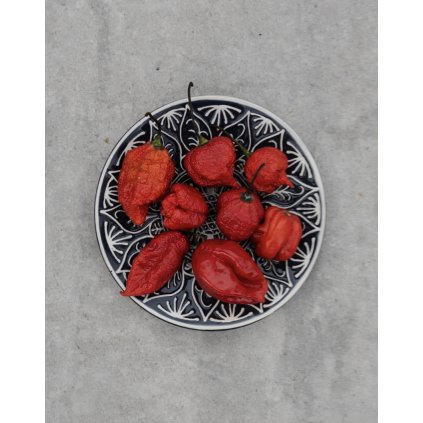 33521 1 screenshot 2026 01 08 at 21 31 02