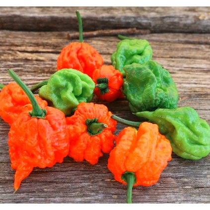 carolina reaper