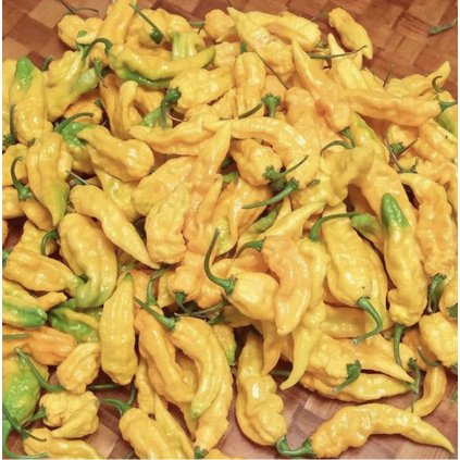 Screenshot 2026 01 27 at 16.09.36