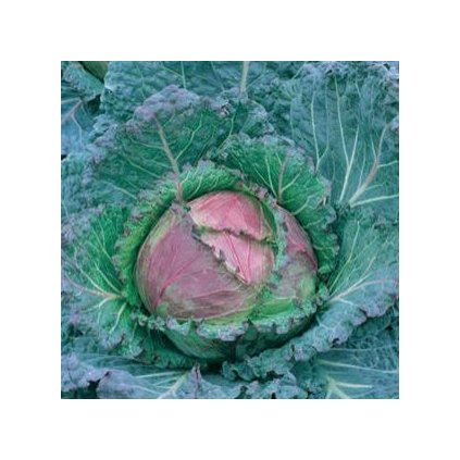 3356 zeli duhove ledovy kral 3