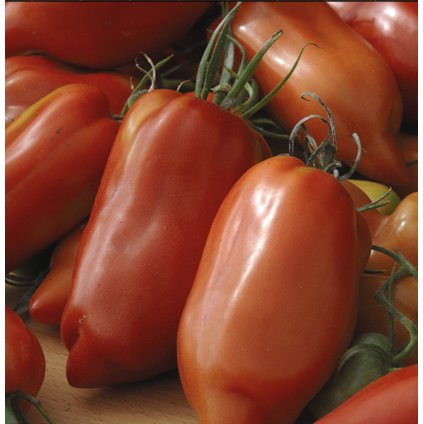 33638 screenshot 2024 02 22 at 21 33 01