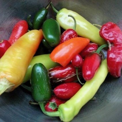 3365 paprika caribbean blend