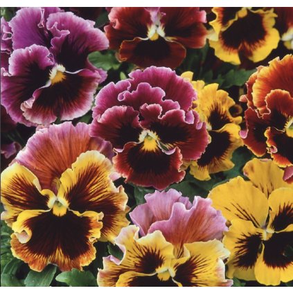 33680 screenshot 2024 02 26 at 23 35 27