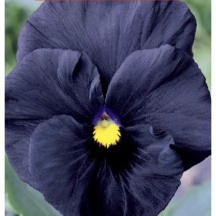 33689 screenshot 2024 02 27 at 0 20 43