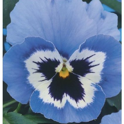 33692 screenshot 2024 02 27 at 0 17 17