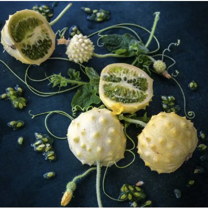 33698 screenshot 2024 02 26 at 20 47 05