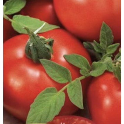 33700 screenshot 2024 02 26 at 14 18 20