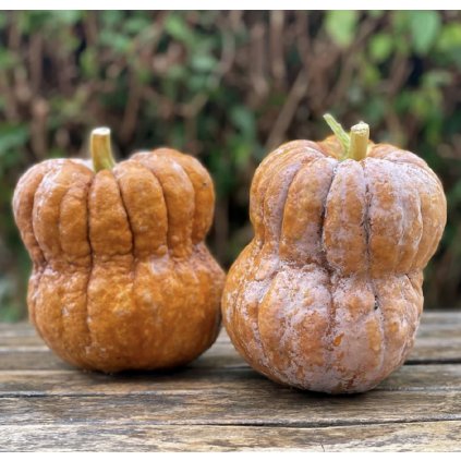 33706 screenshot 2024 02 26 at 20 02 51