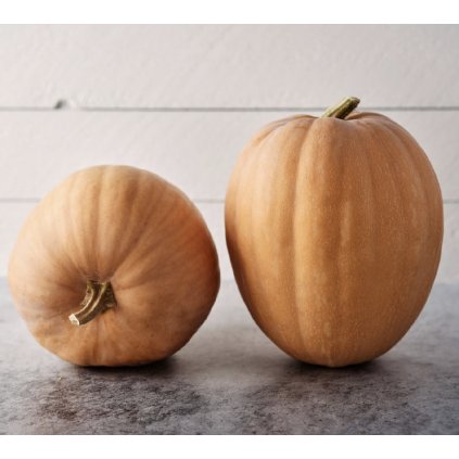 33709 screenshot 2024 02 28 at 15 00 11