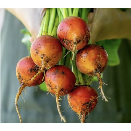 33710 screenshot 2024 02 29 at 13 38 35