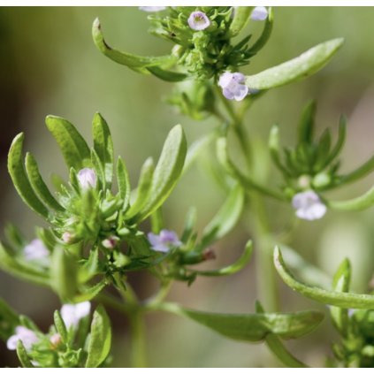 33716 1 screenshot 2024 02 29 at 14 17 42