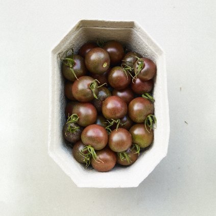 339 rajce black cherry bio