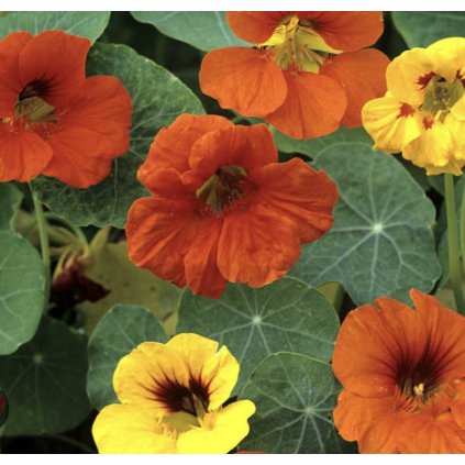 34464 screenshot 2024 04 02 at 13 22 14