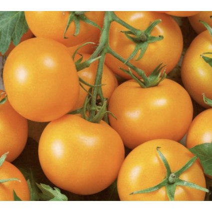 34482 screenshot 2025 01 30 at 18 02 20