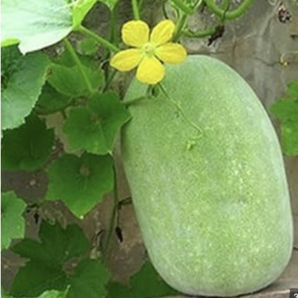 34488 screenshot 2025 01 27 at 13 28 14