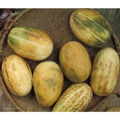 34491 screenshot 2025 03 02 at 17 36 49