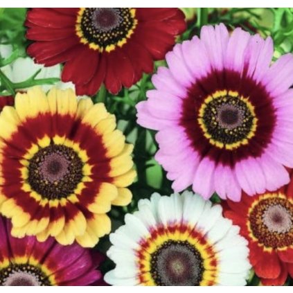 34500 screenshot 2025 01 24 at 8 02 51