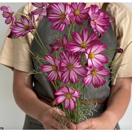 34518 2 screenshot 2025 02 05 at 14 50 05