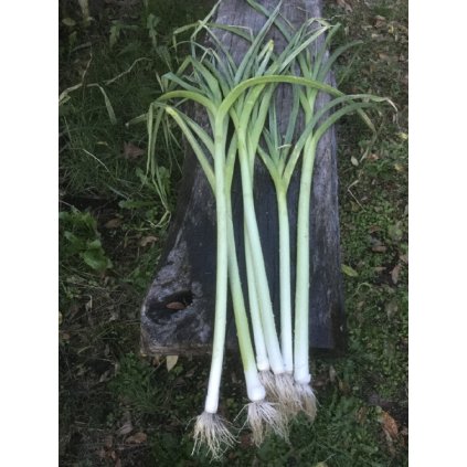 34539 screenshot 2025 02 01 at 10 58 00