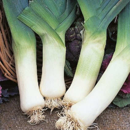 34548 screenshot 2025 02 02 at 12 03 47