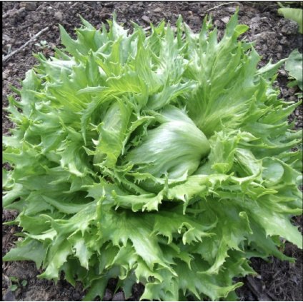 Screenshot 2026 01 26 at 14.49.23