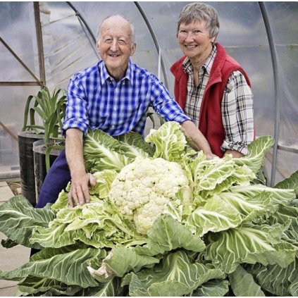 34578 1 screenshot 2025 02 05 at 15 26 41