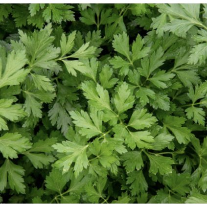 Screenshot 2026 01 29 at 16.37.55