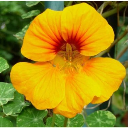 34593 screenshot 2025 02 10 175040