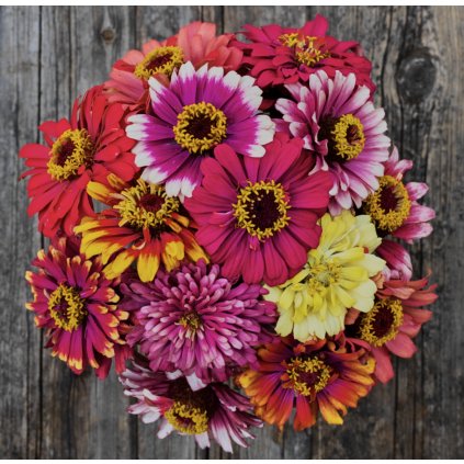 34605 screenshot 2025 01 27 at 14 43 50