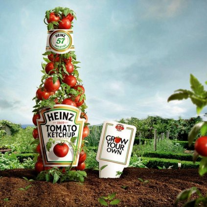 heinz 1350 tomato seeds