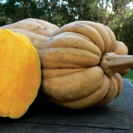 pumpkin wrinkled butternut s1832 90241c72 2056 4658 b1ff e5704c6857e2 2048x