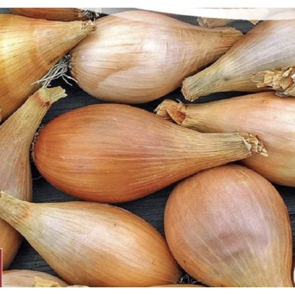 34662 screenshot 2025 02 01 at 11 22 02