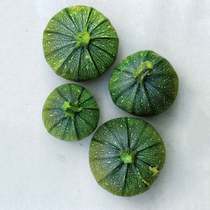 3491 cuketa kulata tondo di piacenza