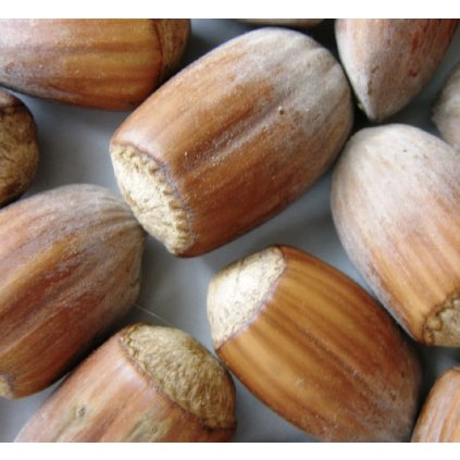 Screenshot 2025 04 18 at 8.30.34