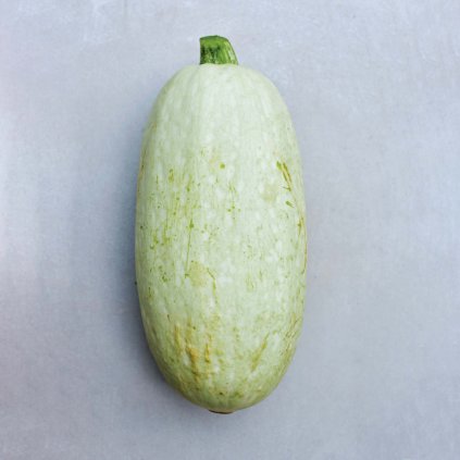 3554 cuketa bianca di trieste