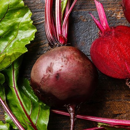 3581 repa salatova detroit 2