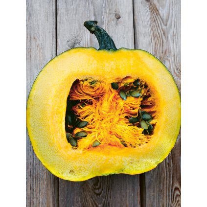 3689 dyne olejnata olga