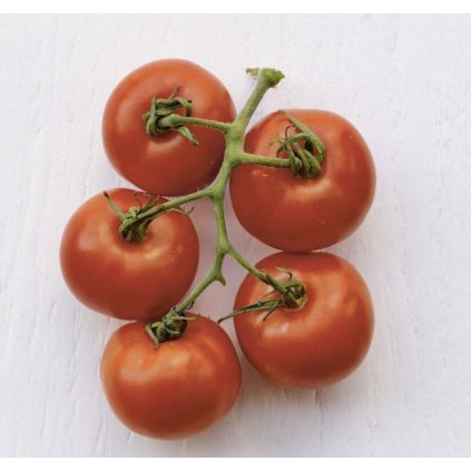 378 rajce stupicke polni rane