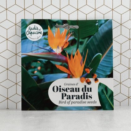 Exotická semena: strelície