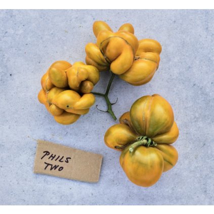 38088 2 screenshot 2025 01 07 at 18 02 46