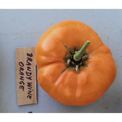 38094 brandywine orange