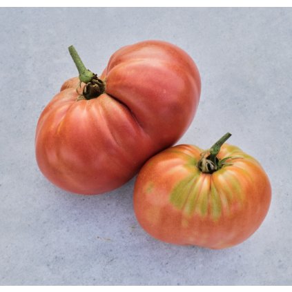 38103 1 screenshot 2025 01 07 at 18 46 56