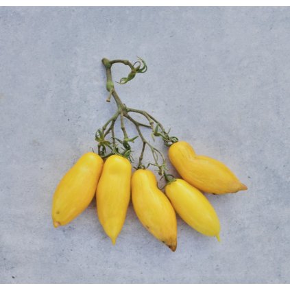 38109 screenshot 2024 12 02 at 17 31 54