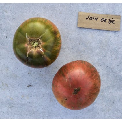 38112 screenshot 2025 01 07 at 18 03 50