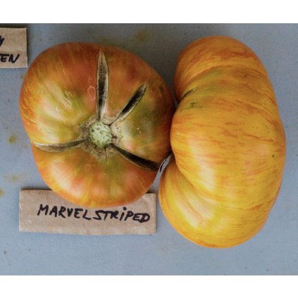 38115 marvel striped