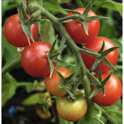 38124 screenshot 2025 01 07 at 18 22 21