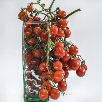 38127 2 screenshot 2024 12 11 at 11 06 17