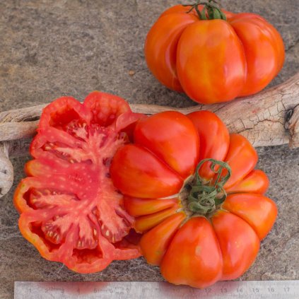 38130 rajce president garfield